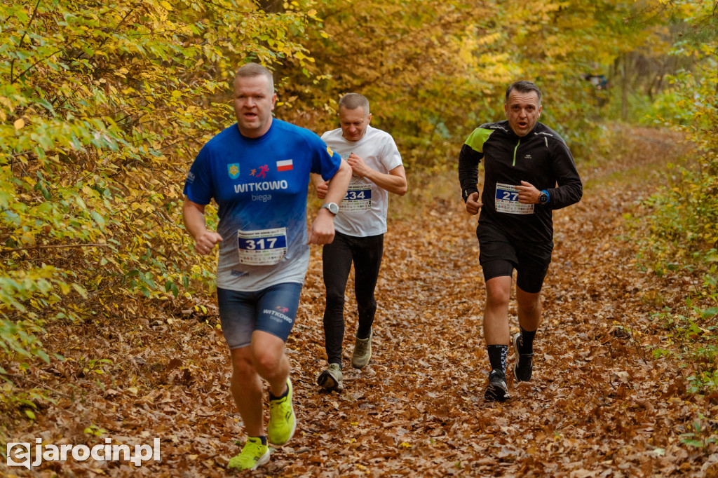 Deszcz, wiatr i adrenalina – tak wyglądał OCROBERFOREST RUN 2025 w Jarocinie