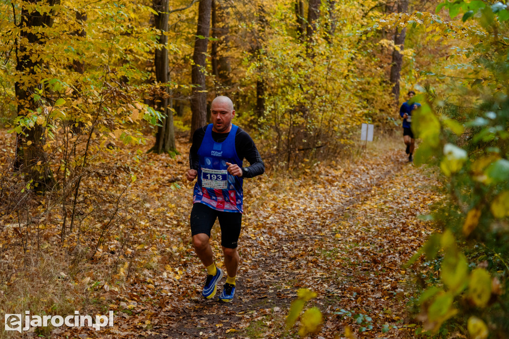 Deszcz, wiatr i adrenalina – tak wyglądał OCROBERFOREST RUN 2025 w Jarocinie