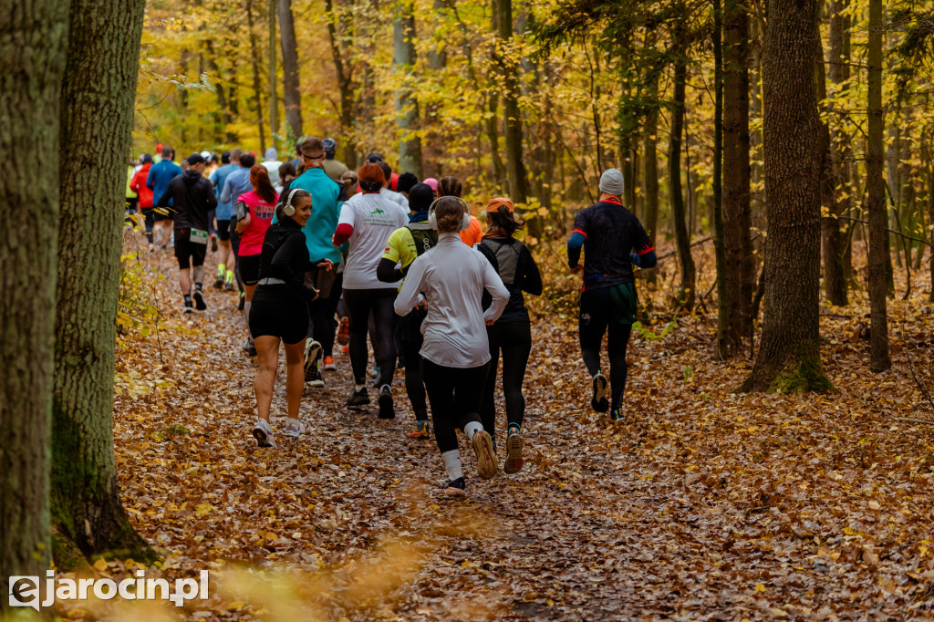 Deszcz, wiatr i adrenalina – tak wyglądał OCROBERFOREST RUN 2025 w Jarocinie