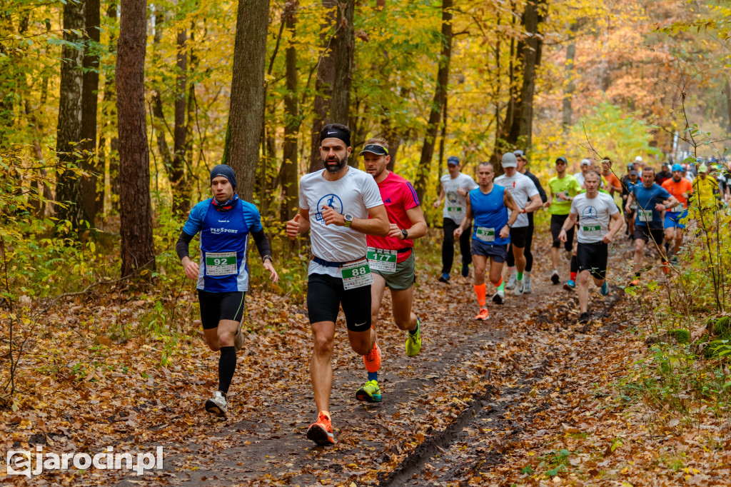 Deszcz, wiatr i adrenalina – tak wyglądał OCROBERFOREST RUN 2025 w Jarocinie
