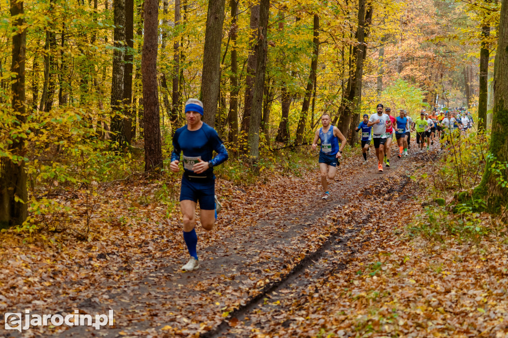 Deszcz, wiatr i adrenalina – tak wyglądał OCROBERFOREST RUN 2025 w Jarocinie