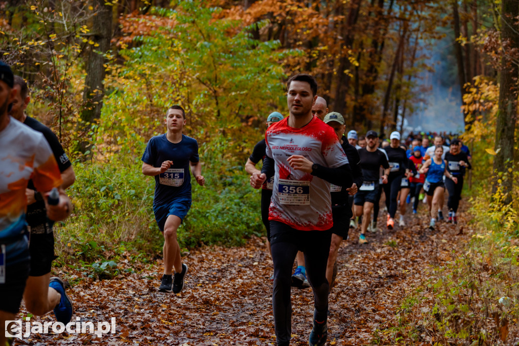 Deszcz, wiatr i adrenalina – tak wyglądał OCROBERFOREST RUN 2025 w Jarocinie