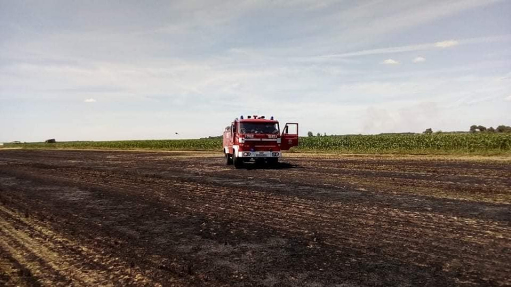 Pożar na polu w Wałkowie