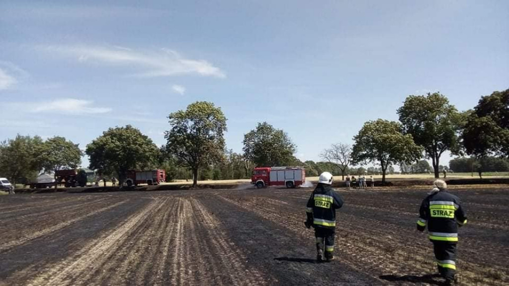 Pożar na polu w Wałkowie