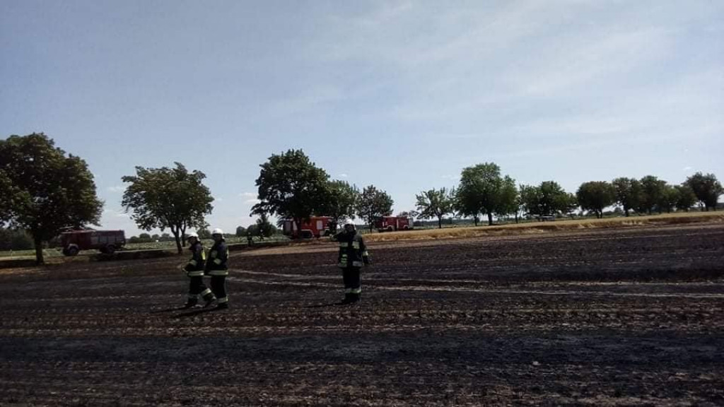 Pożar na polu w Wałkowie