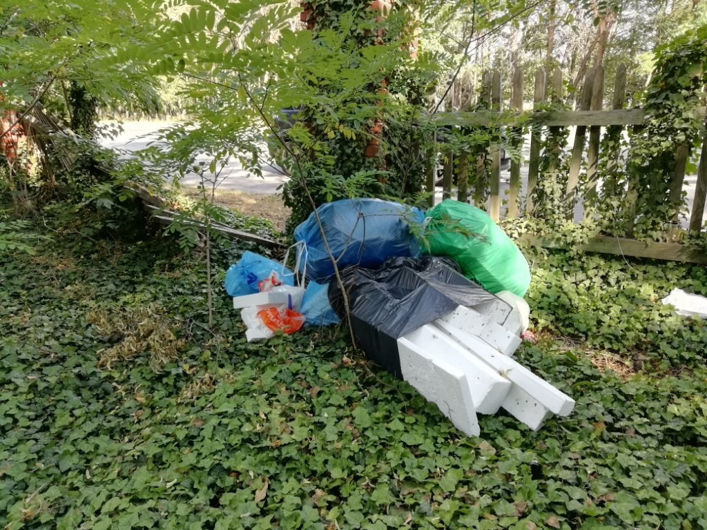 Tak zaśmiecony jest Jarocin!