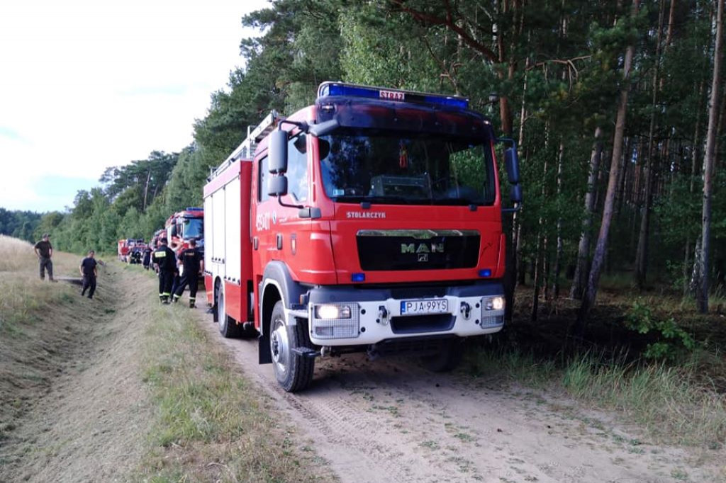 Ogień w lesie w Jeżewie