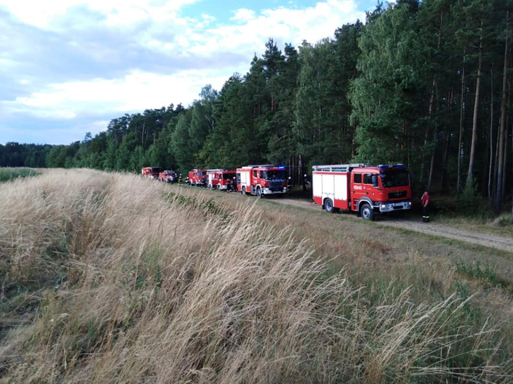 Ogień w lesie w Jeżewie