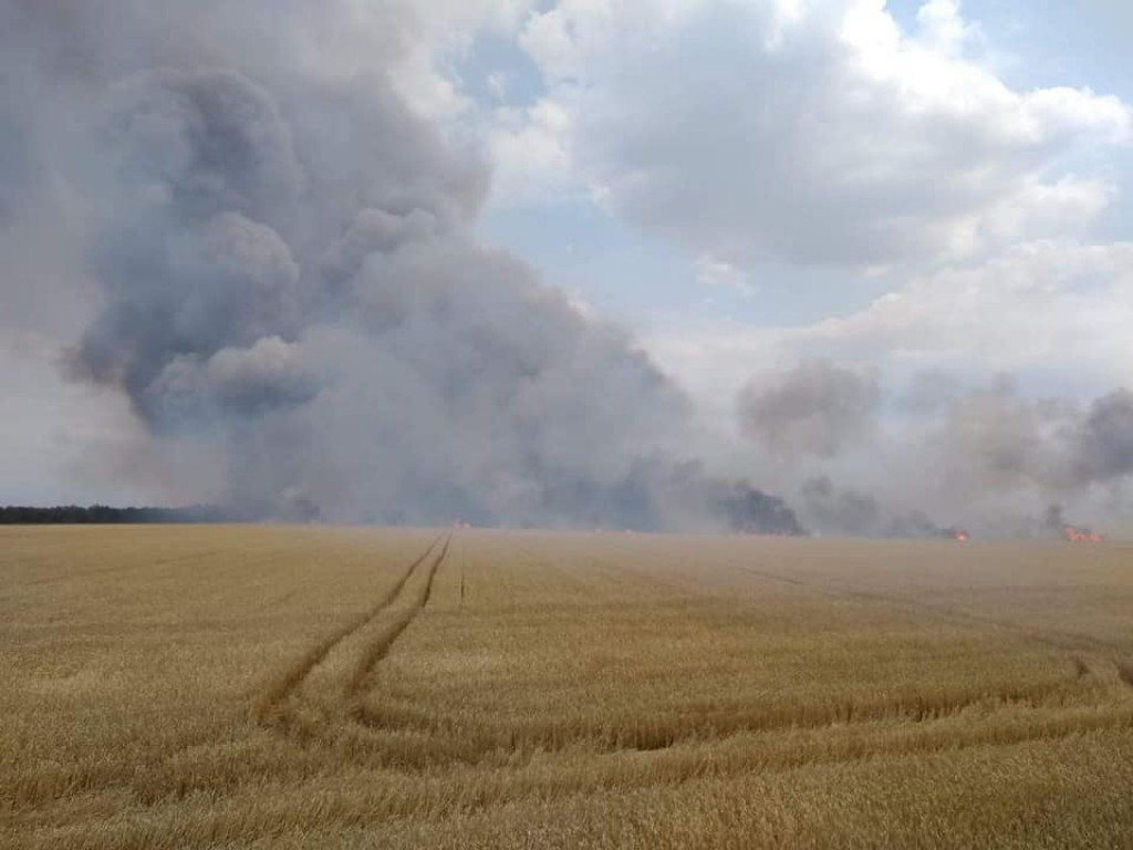 Pożar zboża na pniu w Jadwigowie