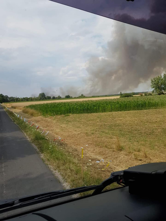 Pożar zboża na pniu w Jadwigowie