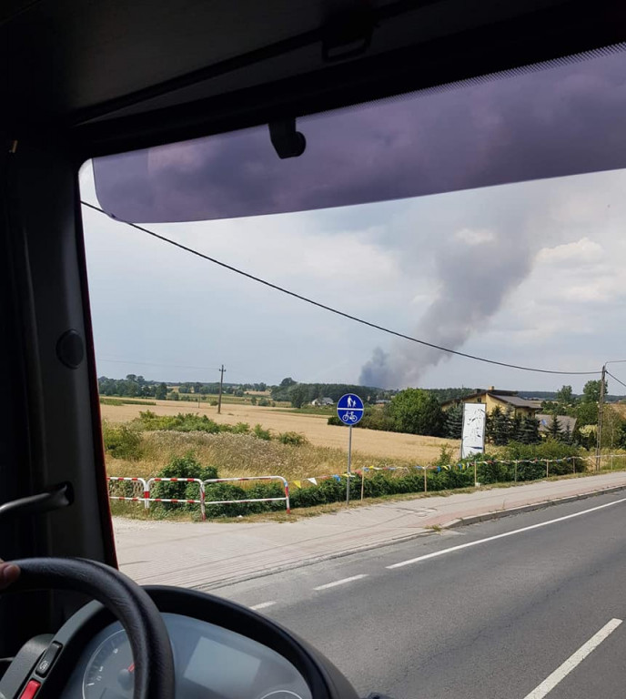 Pożar zboża na pniu w Jadwigowie
