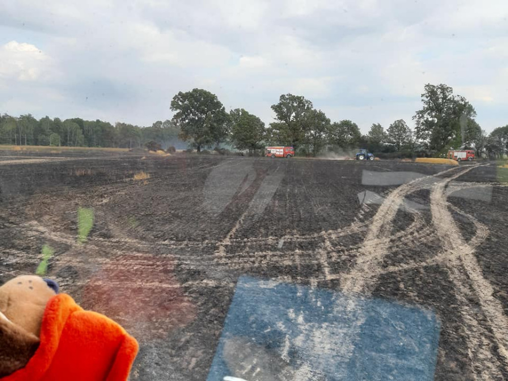 Pożar zboża na pniu w Jadwigowie