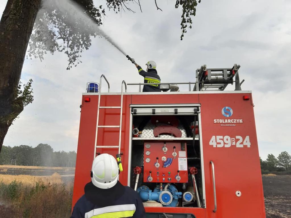 Pożar zboża na pniu w Jadwigowie
