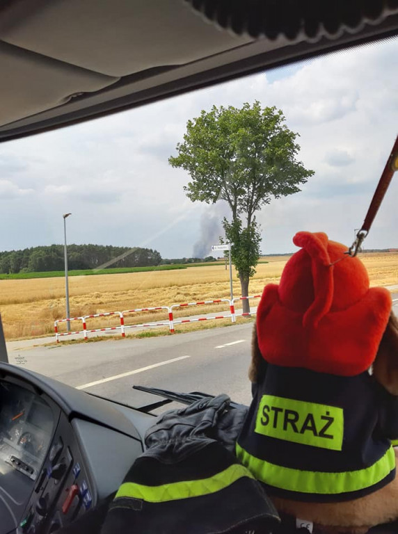 Pożar zboża na pniu w Jadwigowie