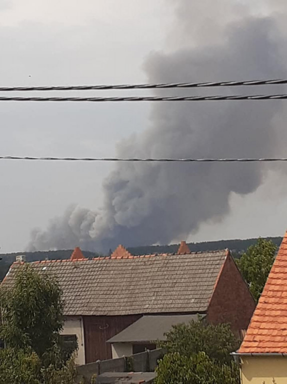 Pożar zboża na pniu w Jadwigowie