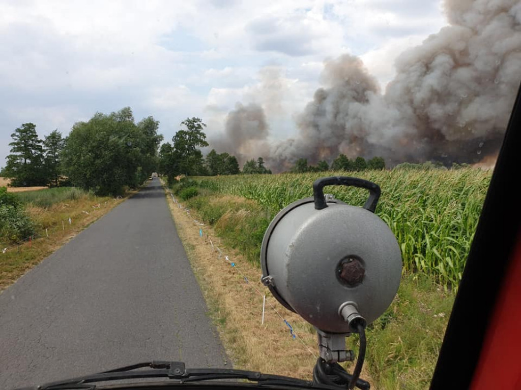 Pożar zboża na pniu w Jadwigowie