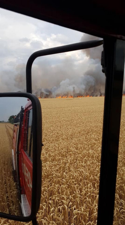 Pożar zboża na pniu w Jadwigowie