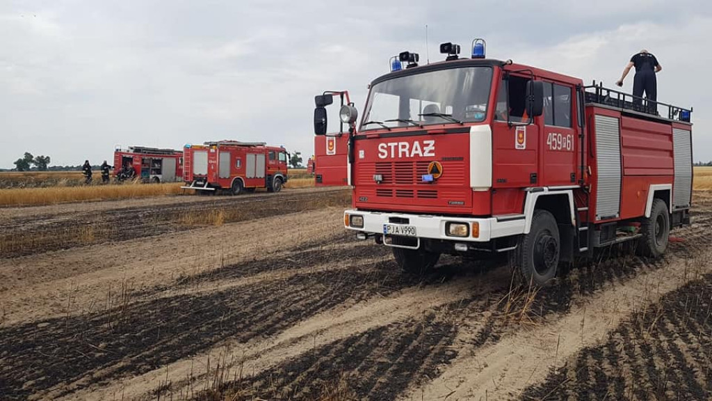 Pożar zboża na pniu w Jadwigowie
