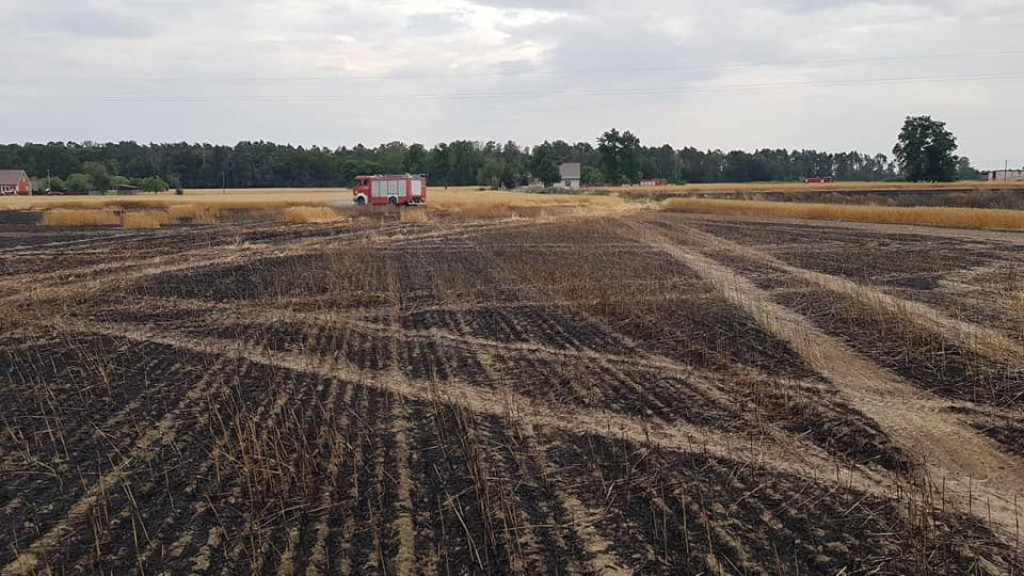 Pożar zboża na pniu w Jadwigowie