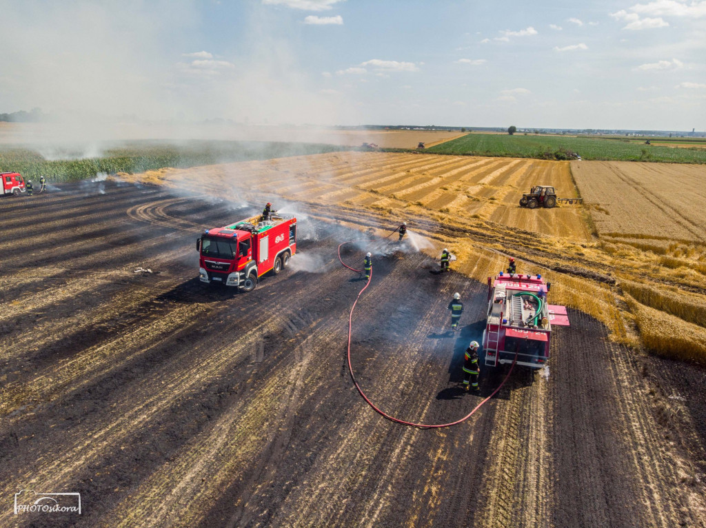 Pożar zboża w miejscowości Dzielice