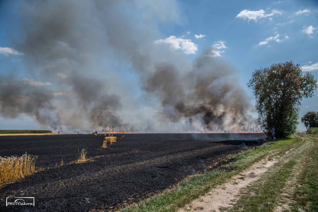 Pożar zboża w miejscowości Dzielice