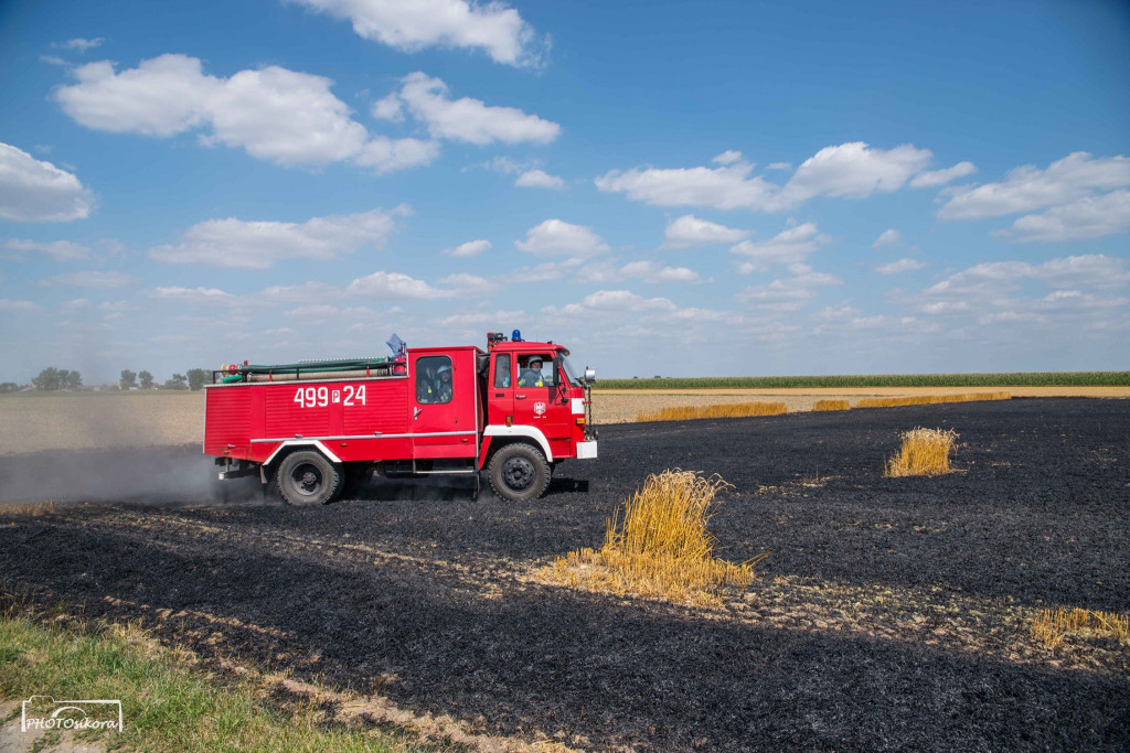 Pożar zboża w miejscowości Dzielice