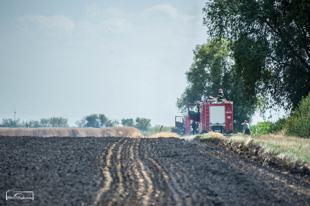 Pożar zboża w miejscowości Dzielice