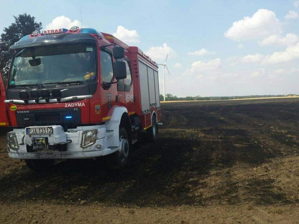 Pożar - granica Roszkowa i Dąbrowy