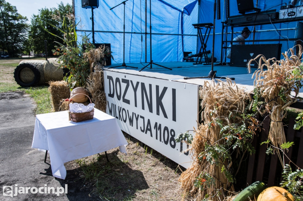 Dożynki wiejskie w Wilkowyi