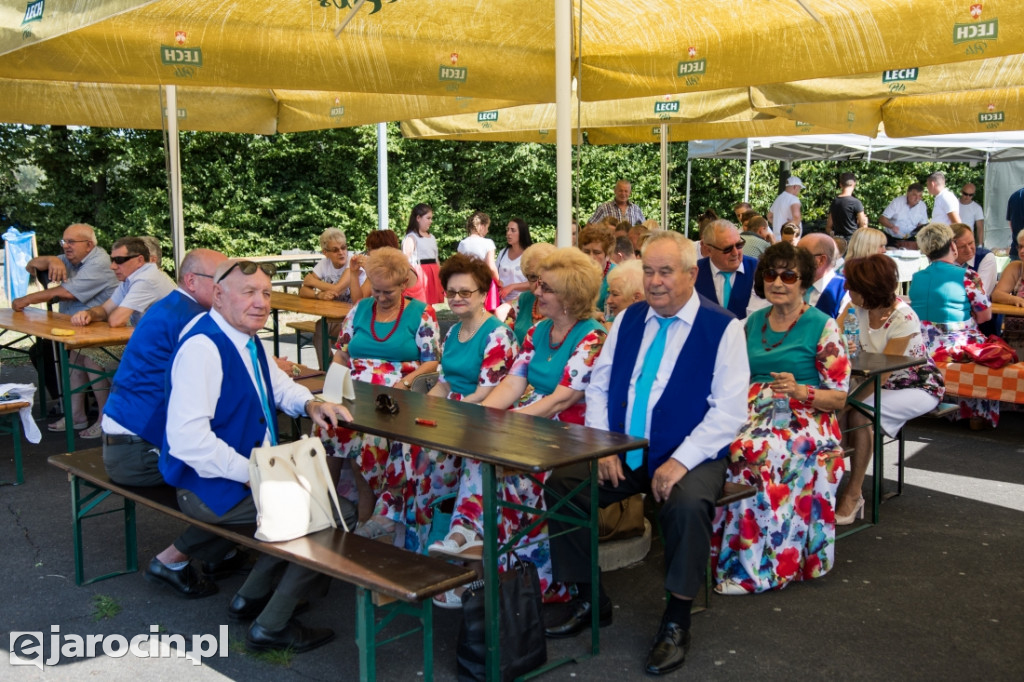 Dożynki wiejskie w Wilkowyi