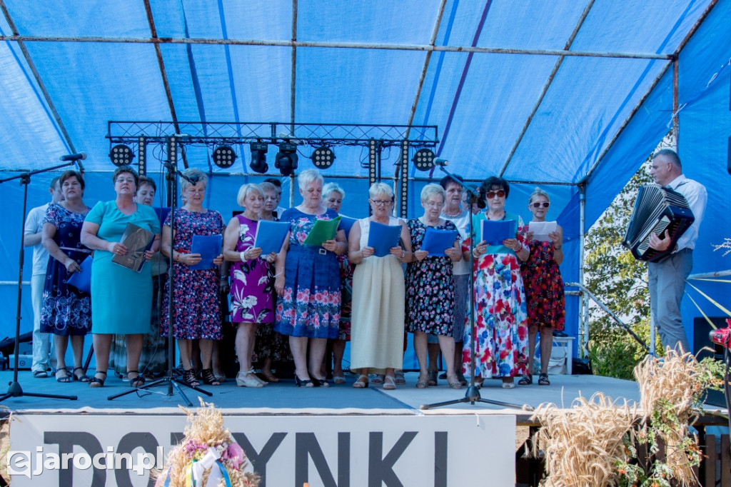Dożynki wiejskie w Wilkowyi