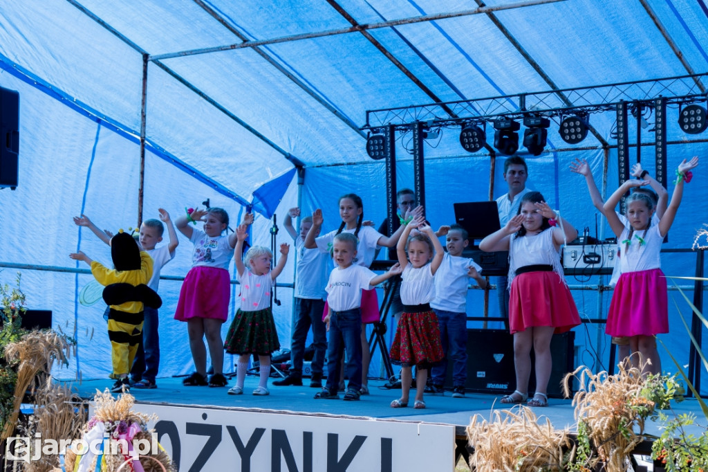 Dożynki wiejskie w Wilkowyi