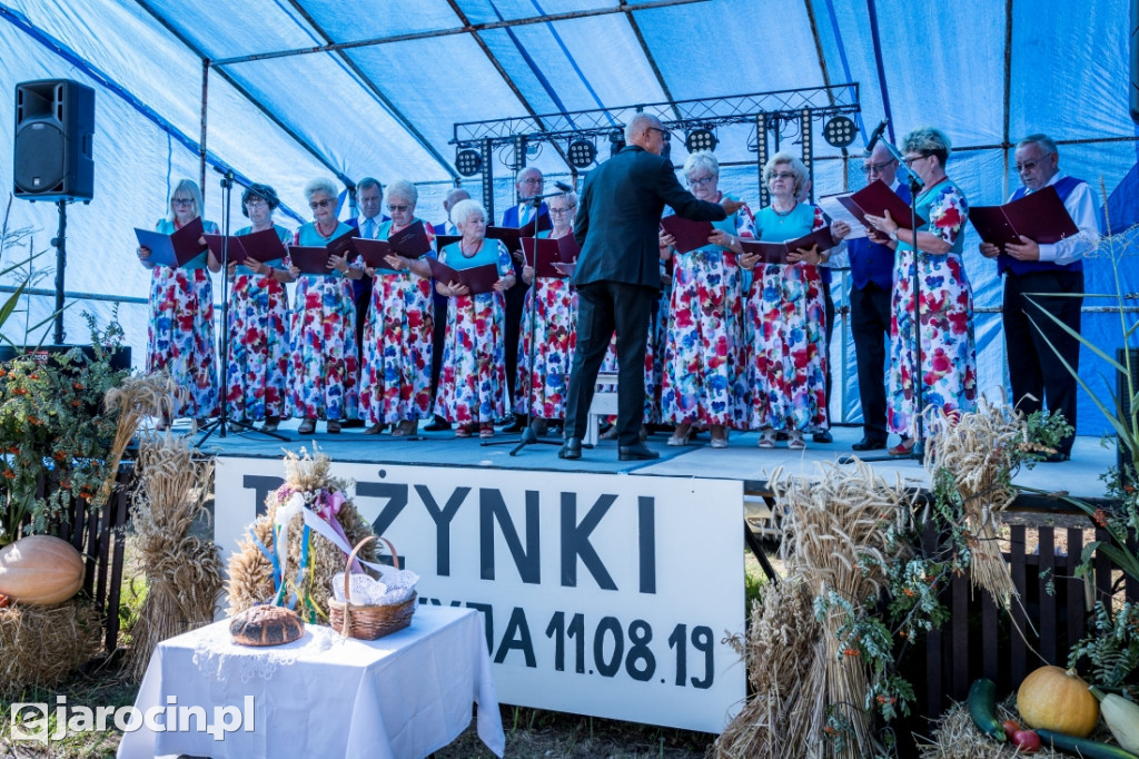 Dożynki wiejskie w Wilkowyi