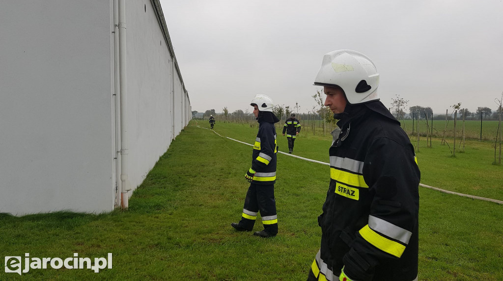 Akcja strażaków na terenie ZGO-WCR