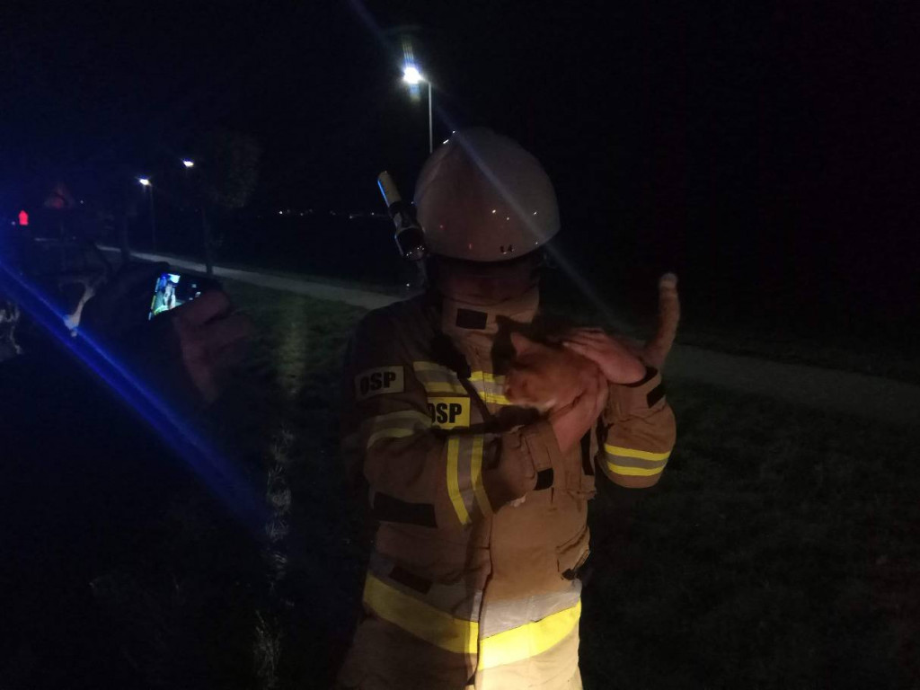Pożar samochodu na drodze