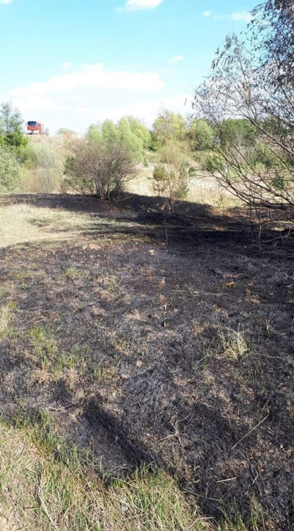 Pożar na kopalni gliny w Witaszycach