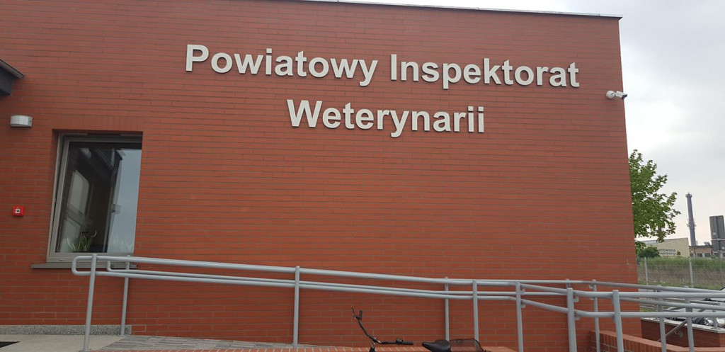Weterynaria w nowym miejscu
