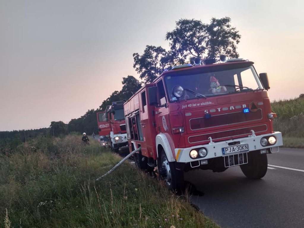 Upały powodują pożary. W weekend wybuchły aż dwa