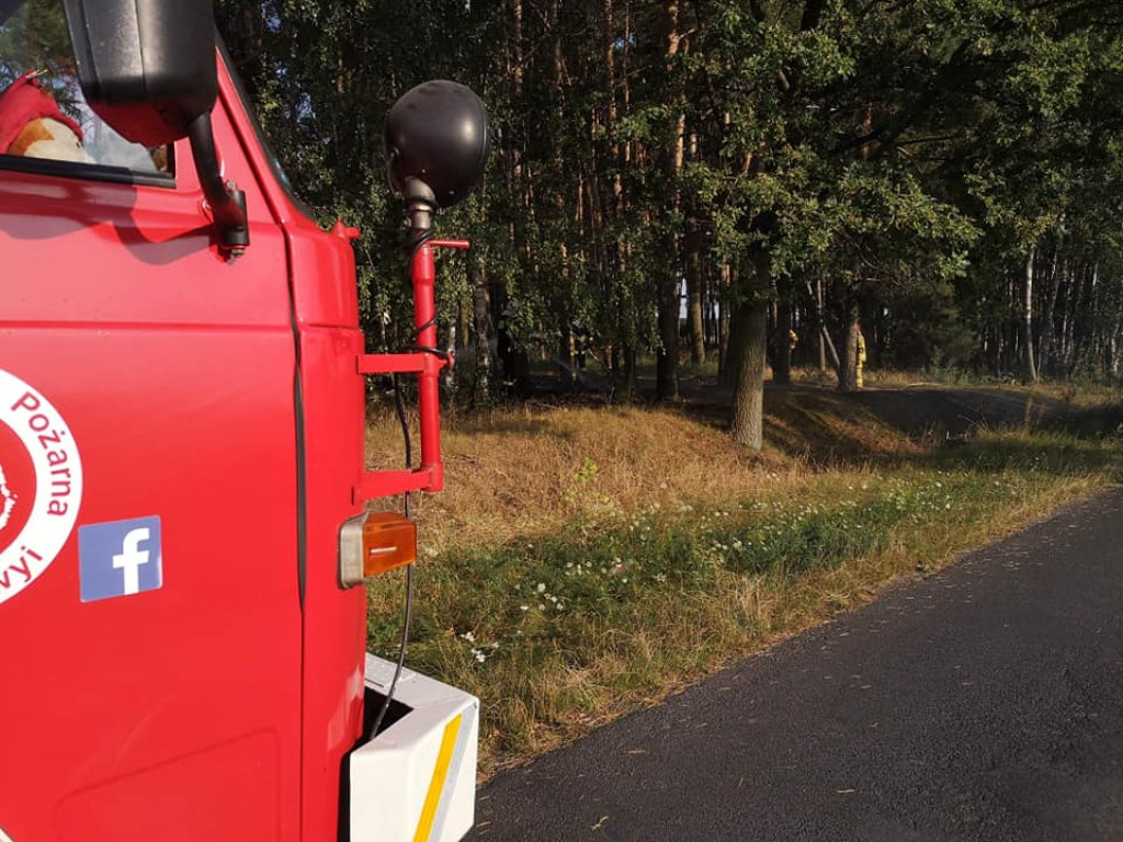 Ogień w lesie w Tarcach