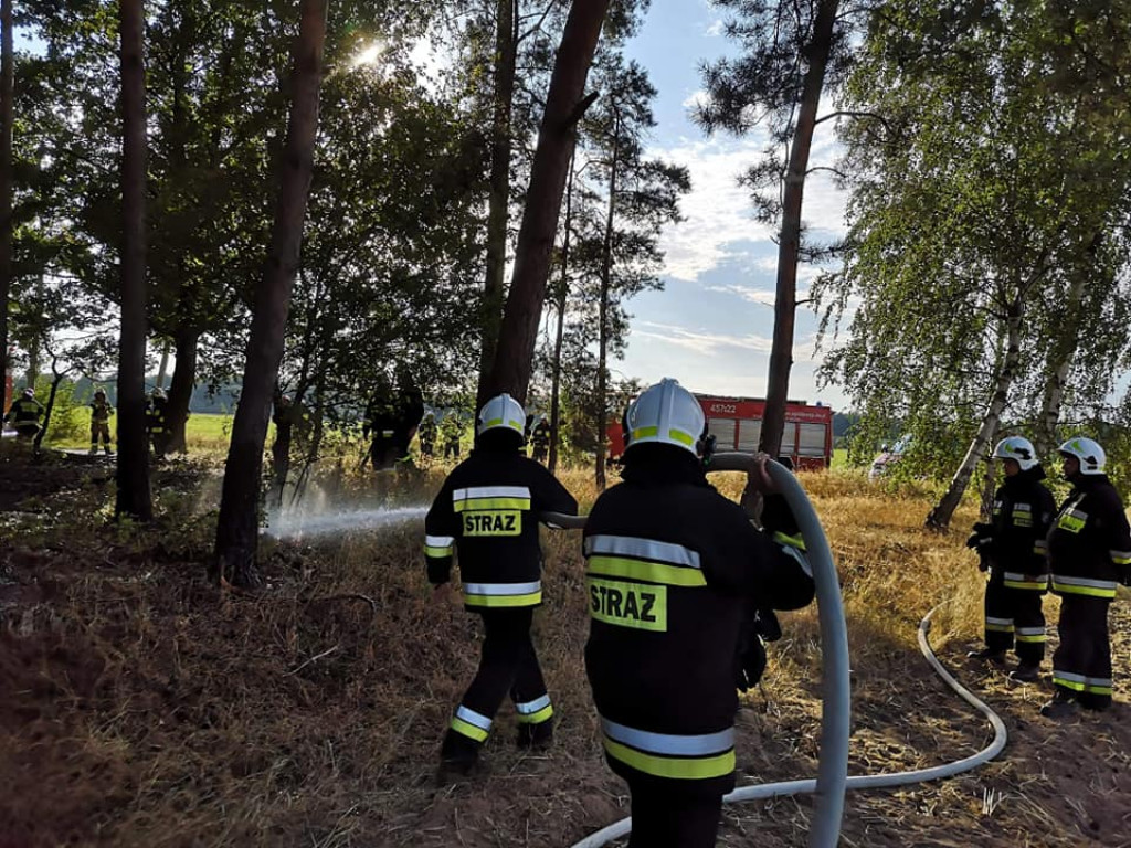 Ogień w lesie w Tarcach