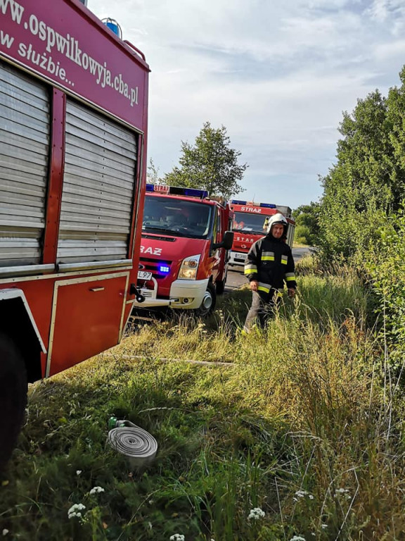 Ogień w lesie w Tarcach