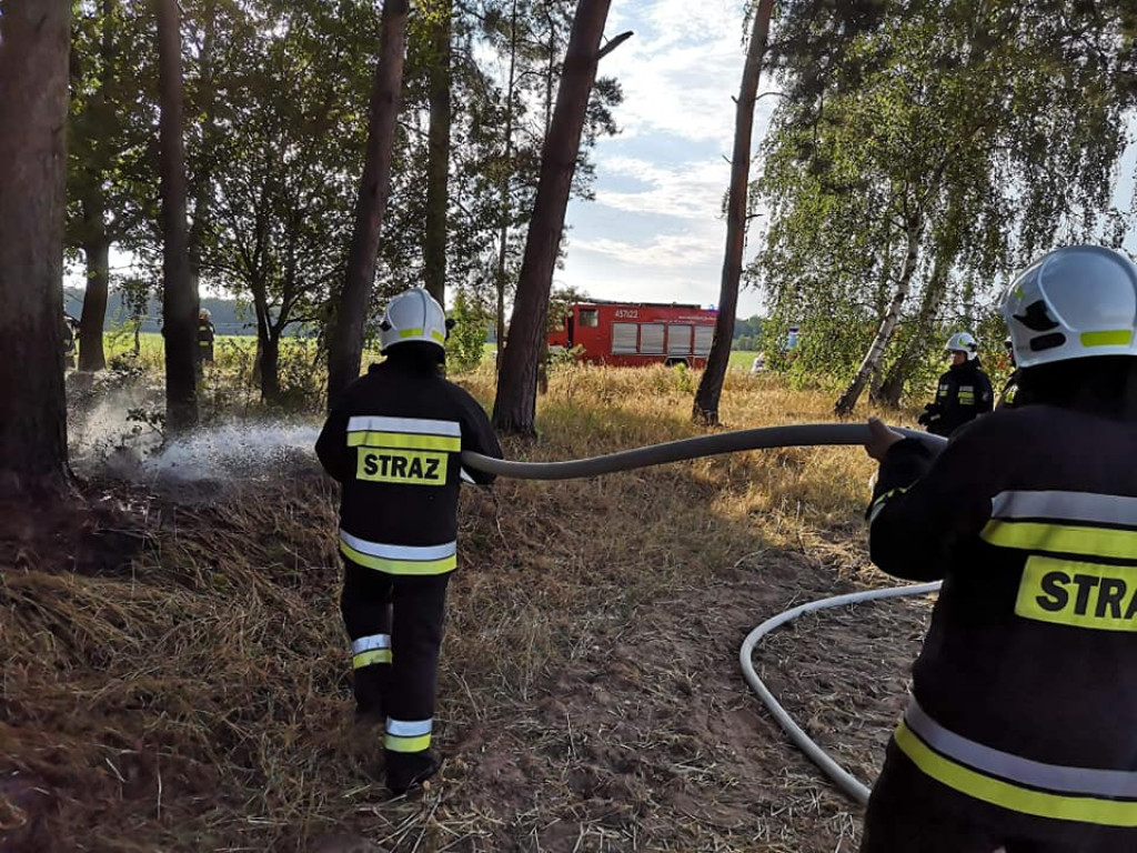 Ogień w lesie w Tarcach