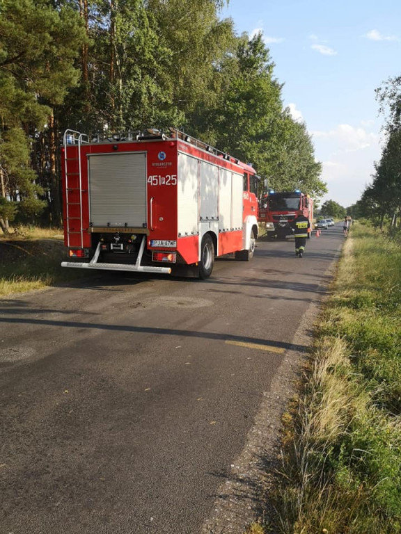 Ogień w lesie w Tarcach