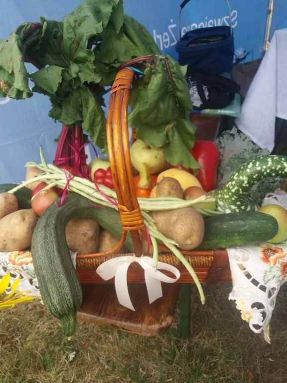 Wielki Odpust ku czci Matki Bożej Pocieszenia w Golinie