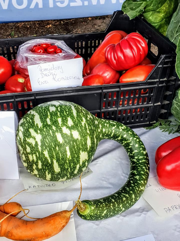 Wielki Odpust ku czci Matki Bożej Pocieszenia w Golinie
