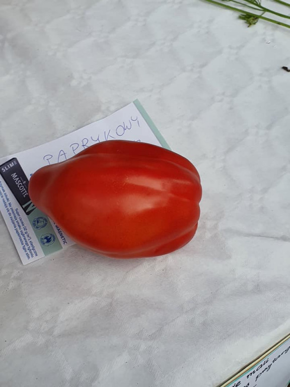 Wielki Odpust ku czci Matki Bożej Pocieszenia w Golinie