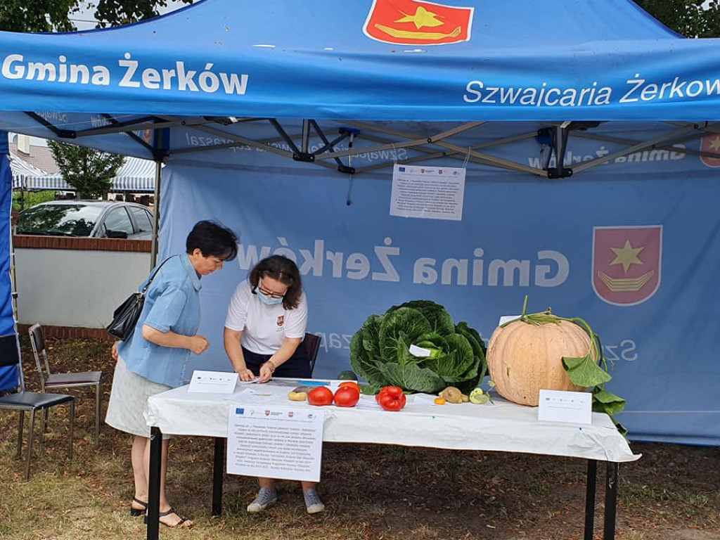 Wielki Odpust ku czci Matki Bożej Pocieszenia w Golinie