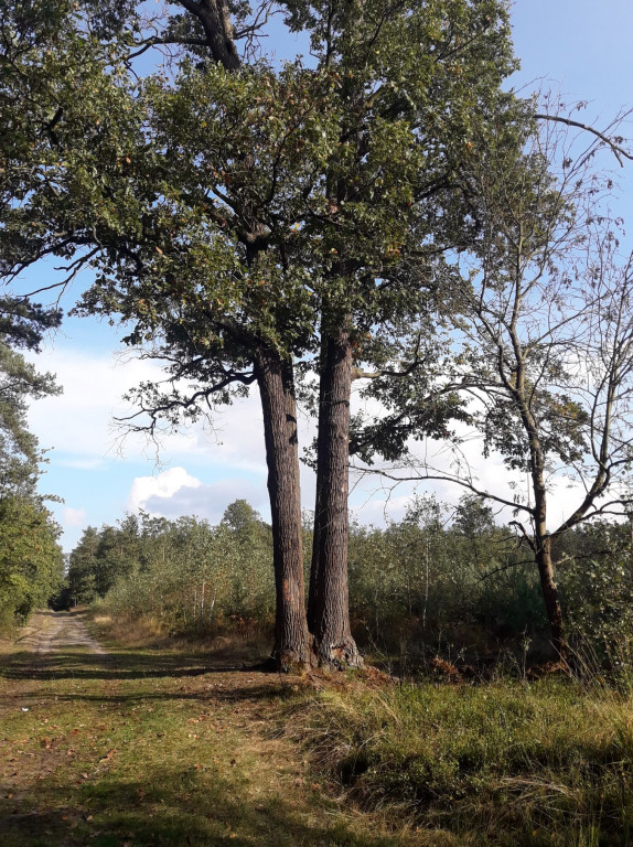 136 osób i 14 km na rowerach