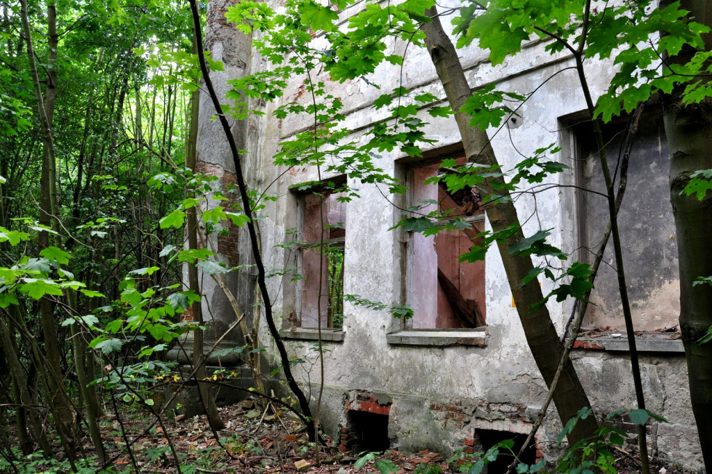 Świadkowie wysadzenia zabytkowego pałacu poszukiwani