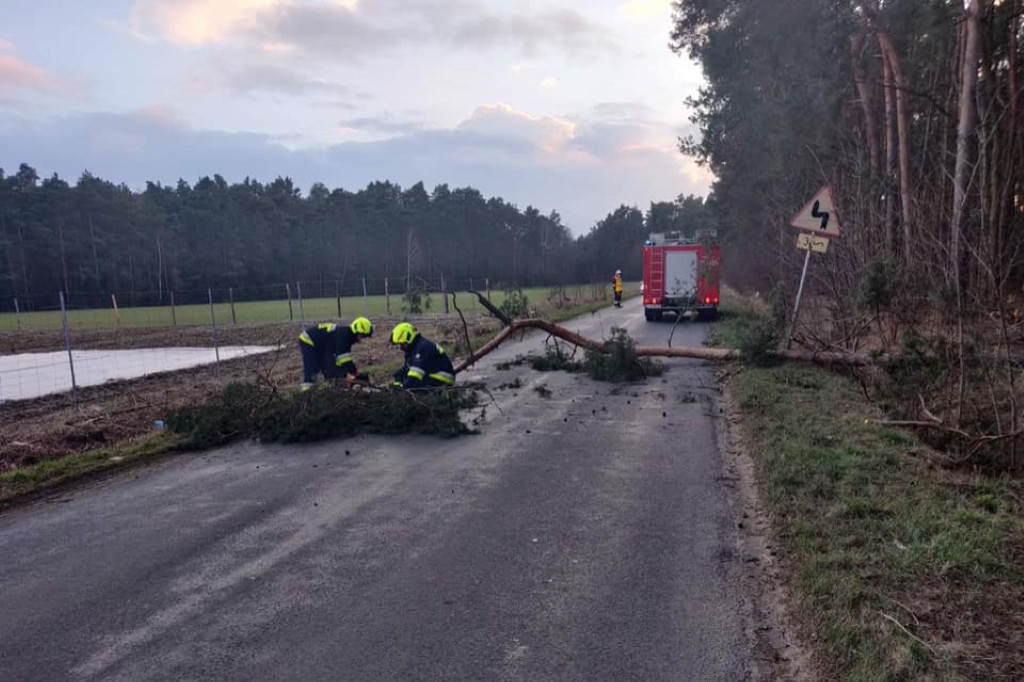 Pracowite popołudnie druhów z Łuszczanowa